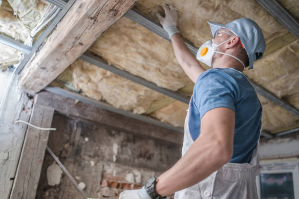 Types of Insulation We Offer in Demarest, NJ