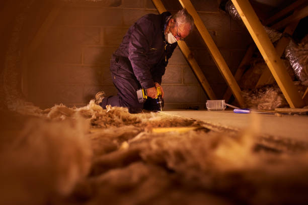 Best Cellulose Insulation in Demarest, NJ